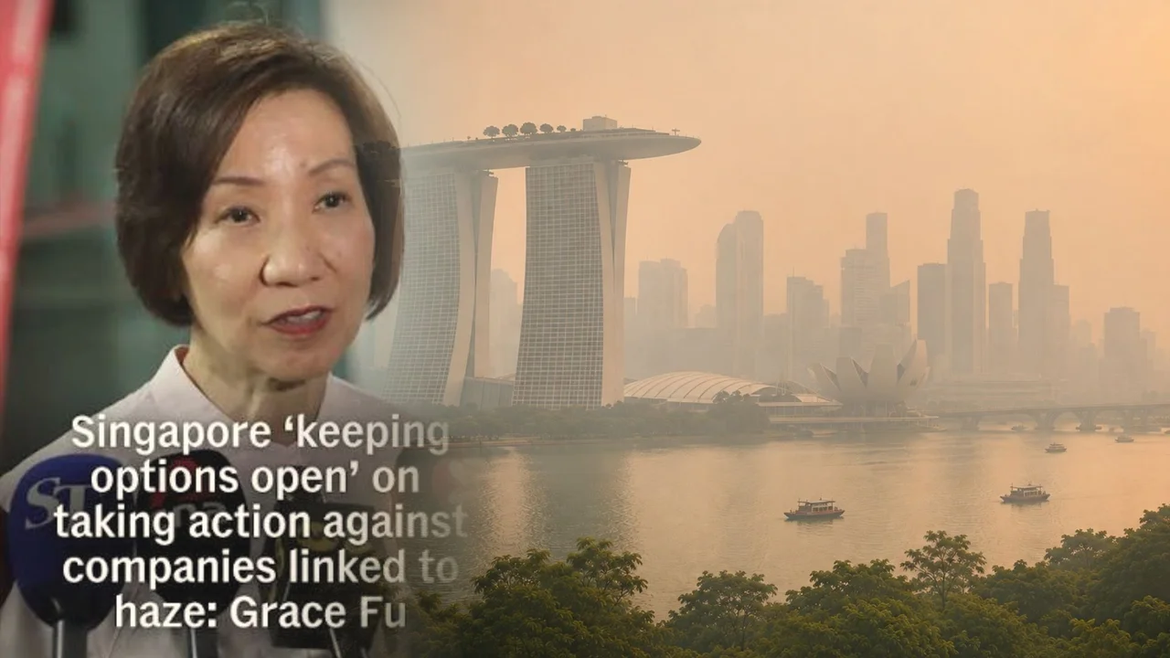 Grace Fu: Singapore will ‘keep its options open’ on taking legal action against companies causing haze pollution even if activities are overseas