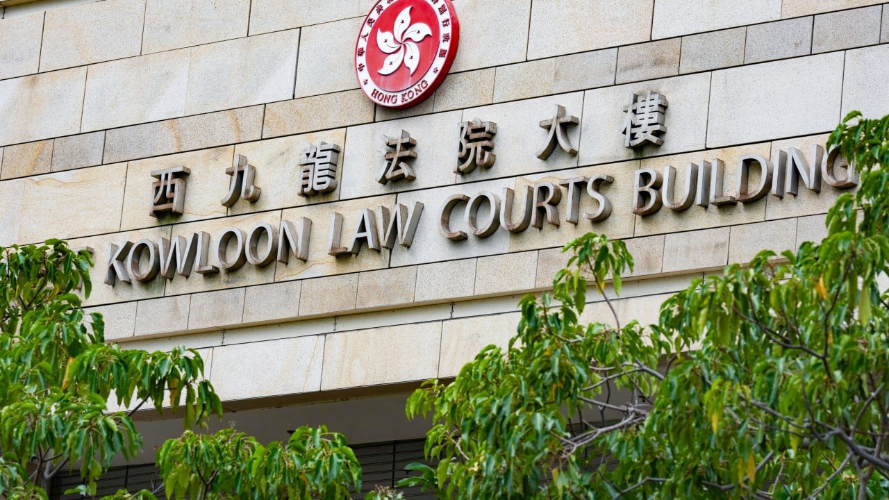 Hong Kong housewife gets 3 months in psychiatric institution over seditious posters