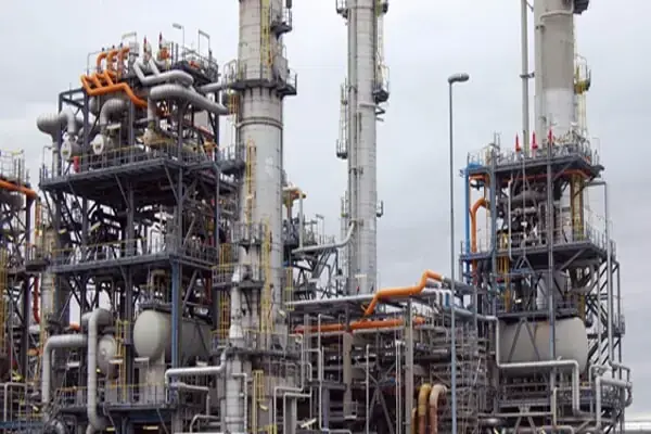 India should bring back fuel with lower blend of ethanol, chief economic adviser says