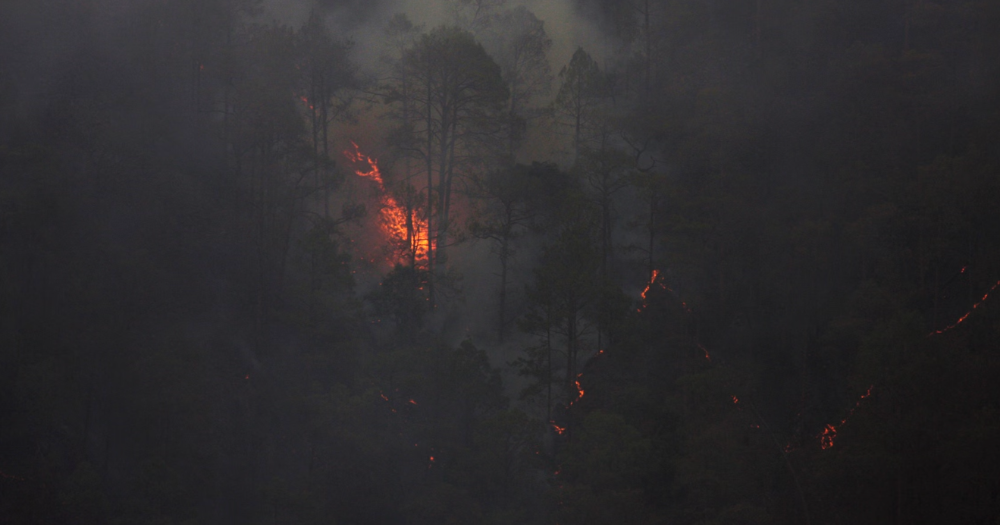 Indonesia's Prabowo approves foreign assistance to tackle forest fires causing haze