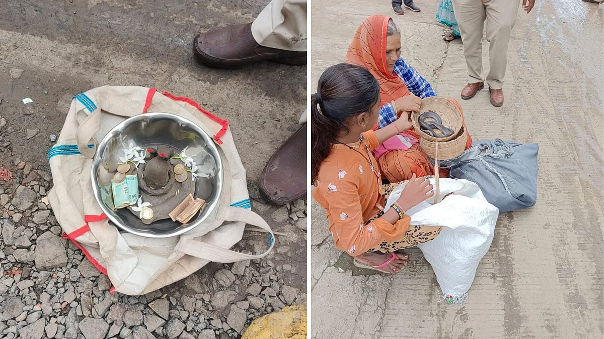 Nag Panchami Special: Snake Rescues Fall To Five In Indore— Lowest In 5 Years, But Snake Charmers Remain On The Streets