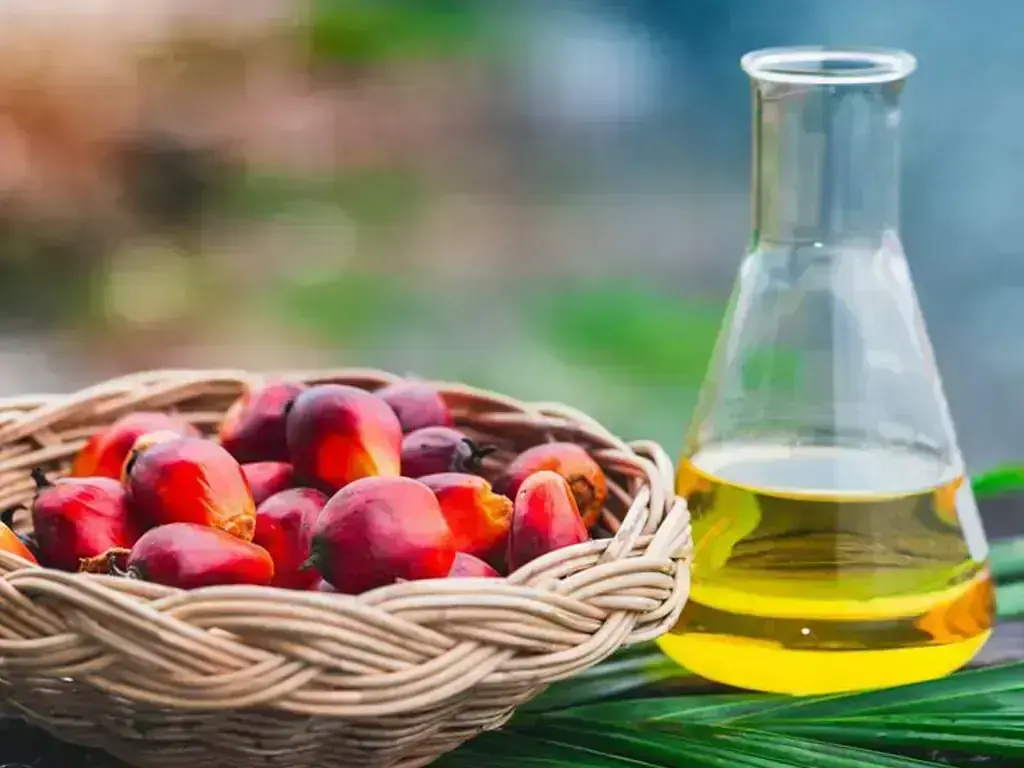 Palm oil posts over 3% weekly gains