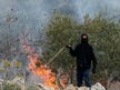 Palestinians report multiple settler attacks on olive harvesters in West Bank, 6 wounded