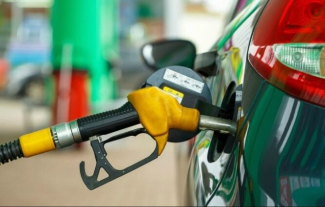 IES calls on government to immediately enforce Ghana’s Domestic Market Obligation regulations