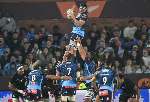 Stormers, Sharks and Bulls show Springboks where All Blacks can be hurt in Greatest Rivalry series