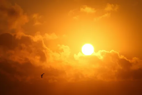 Weekend weather: Heatwave persists as rain and thunderstorms target parts of SA