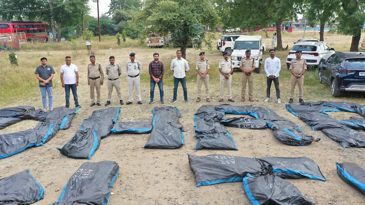 MP's Dhar Police Seize Cannabis Worth ₹4.43 Crore, Drones Uncover 3,345 Hidden Plants In Forest