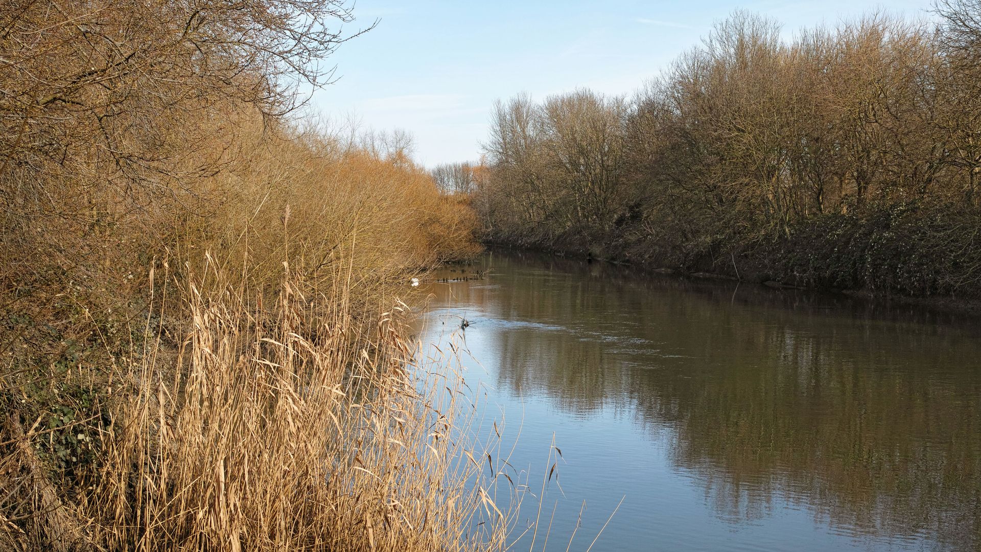 'Unimaginable loss' as boy, 12, drowns after entering river