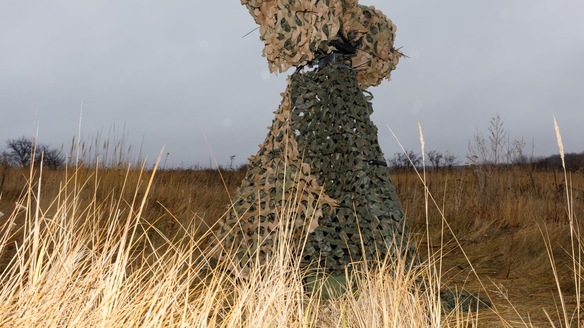 Developers of Ai-Petri electronic warfare system move away from hardware in favour of AI – media