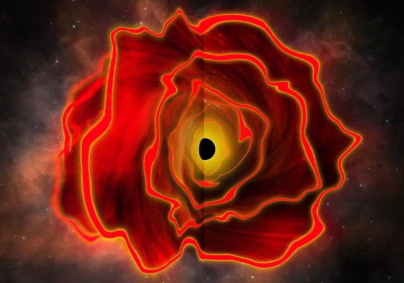 Astronomers may have discovered a new kind of object called a black hole star