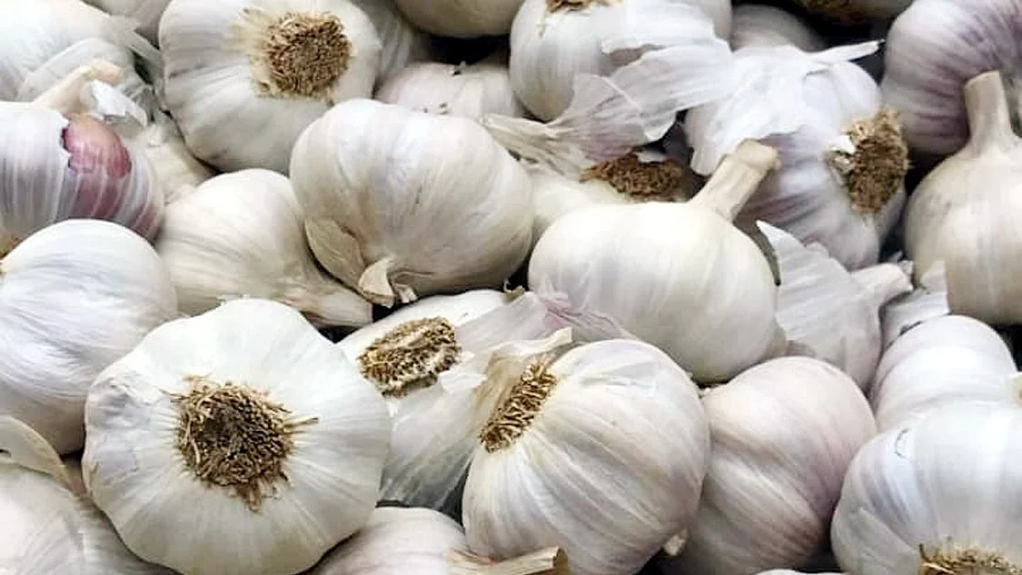 Ayurvedic Home Remedies With Garlic For Wellness And Healing
