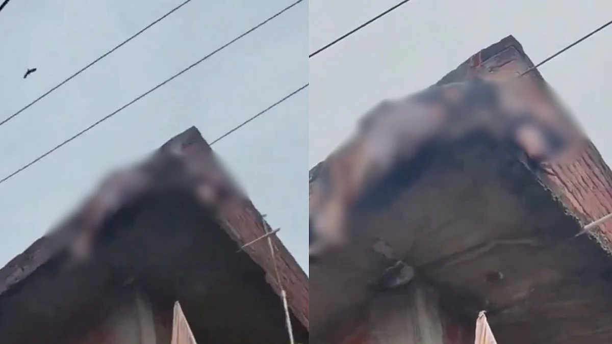 Lucknow Shocker: Viral Video Shows Woman Electrocuted By 11,000-Volt Wire While Drying Clothes, Rescued After 5 Minutes