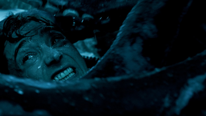 Could a whale really swallow a human? A marine scientist says yes
