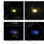 First pair of feeding supermassive black holes found in a Green Pea galaxy