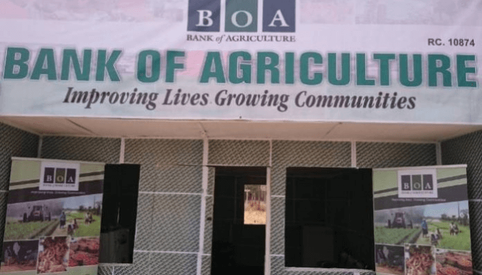 BOA moves to close agricultural gender gap with direct input financing