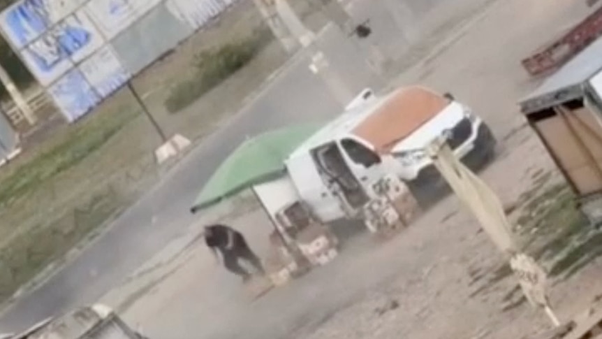 'The world must see': Zelenskyy shares video of drone hunting down vegetable seller