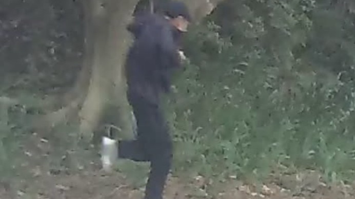 Hunt continues for man with shotgun who sparked lockdown in Sydney's inner west