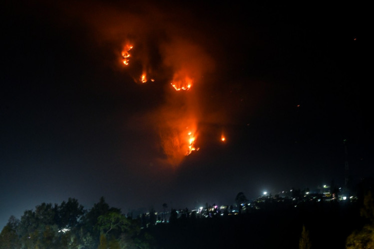 Four killed fighting wildfire in Mount Bromo National Park