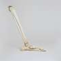 Bones are much more dynamic than scientists once believed. They even have a daily rhythm