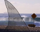 Sharks have always stoked panic in Australia. While scientific understanding grows, conservation efforts can be unseated by fear | Anna Clark