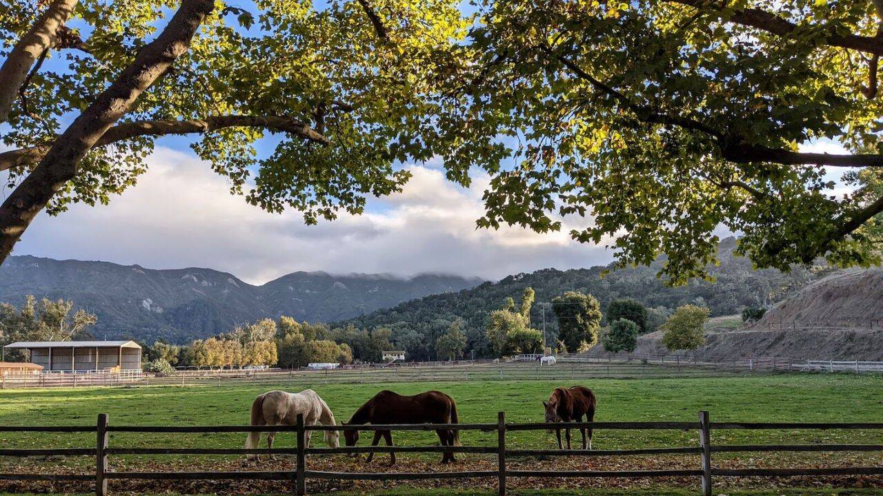 California land trust sues to block roads across a 402-acre preserve
