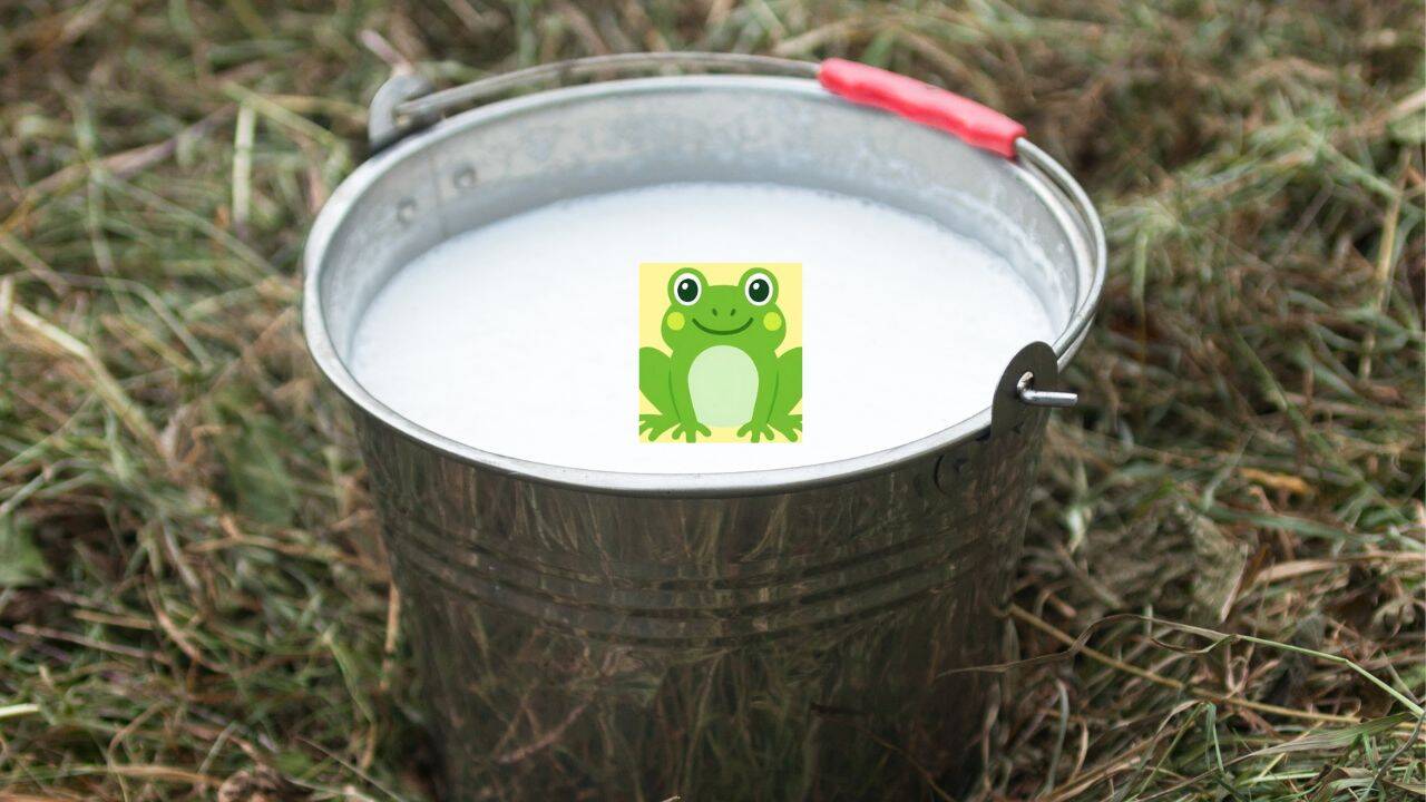 In Finland, people used to put live frogs in milk to keep it fresh