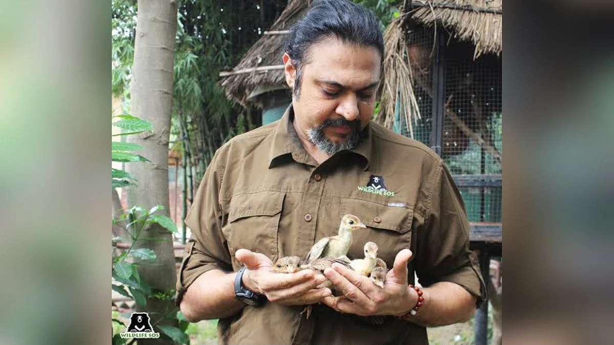 Investigation Uncovers Alleged Nexus Between Wildlife NGO And Poaching Syndicate; 10 Leopard Skins Seized