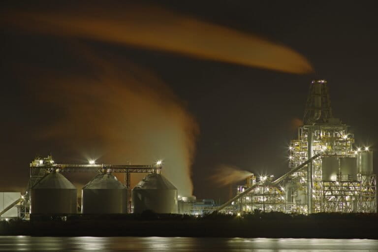 Concerns grow over ‘green’ biomass power in Japan after spate of accidents