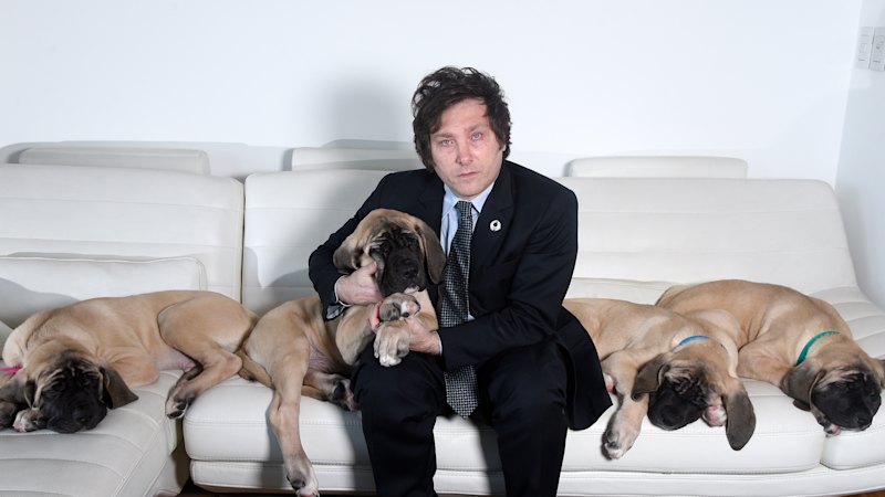 The president, his beloved dogs and the pet psychic