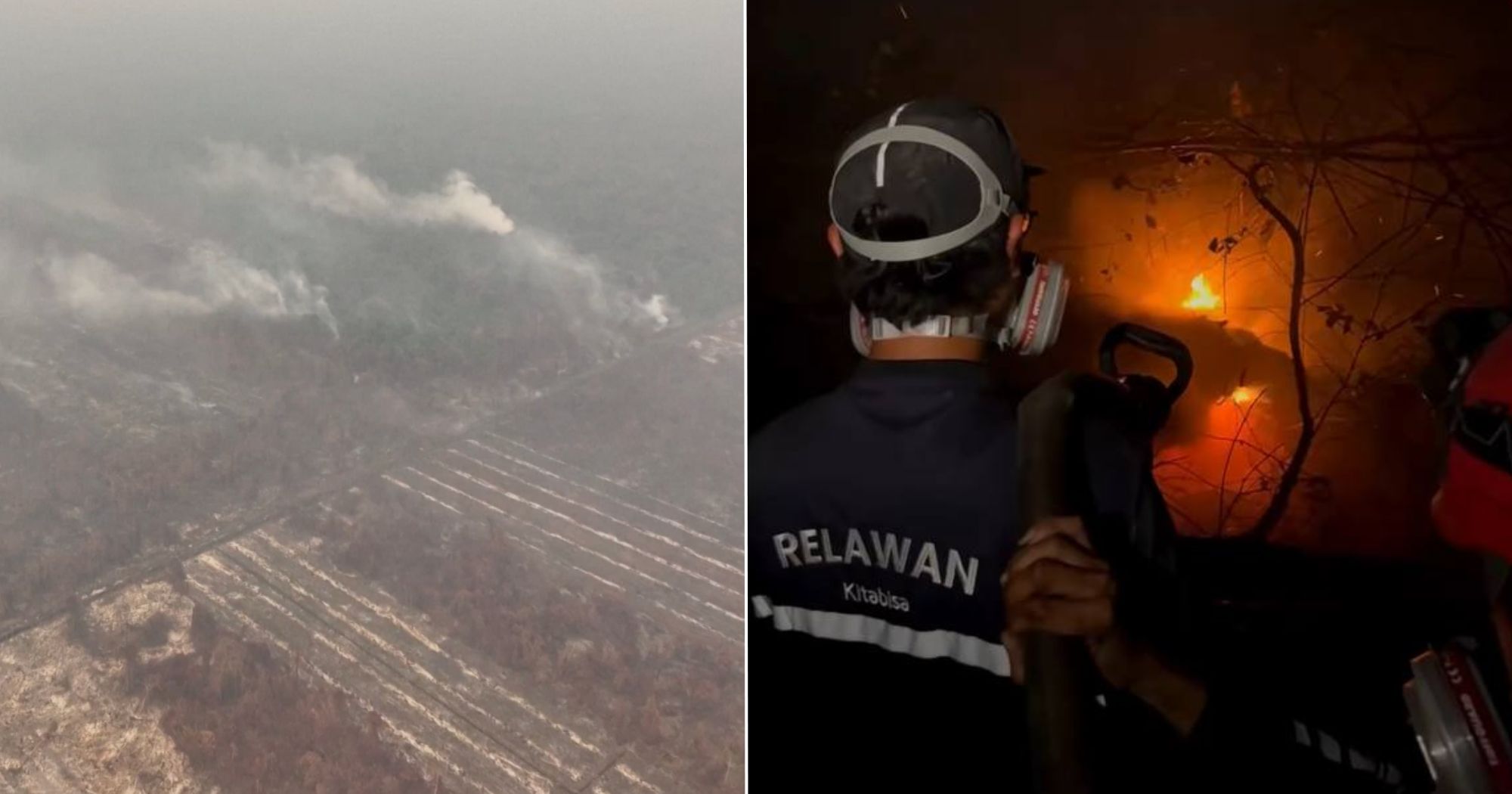 2 S’pore-listed palm oil companies named in Greenpeace report on Indonesia plantation fires