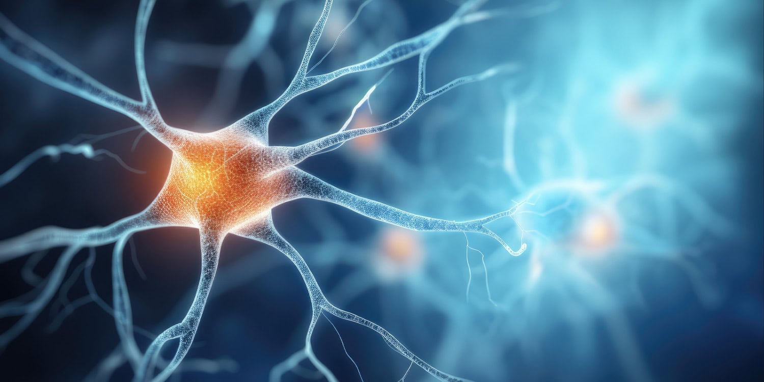 New study details how ketamine alters neural networks differently in males and females