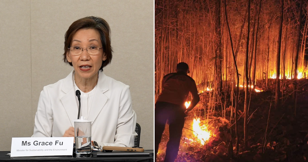 S'pore reveals names of 7 companies involved in haze-causing fires