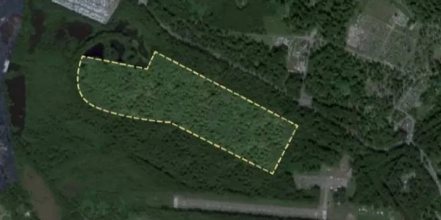 Yandex uses fake forest to hide Russian missile battery