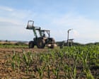 European farmers face ‘unprecedented crisis’ after successive heatwaves