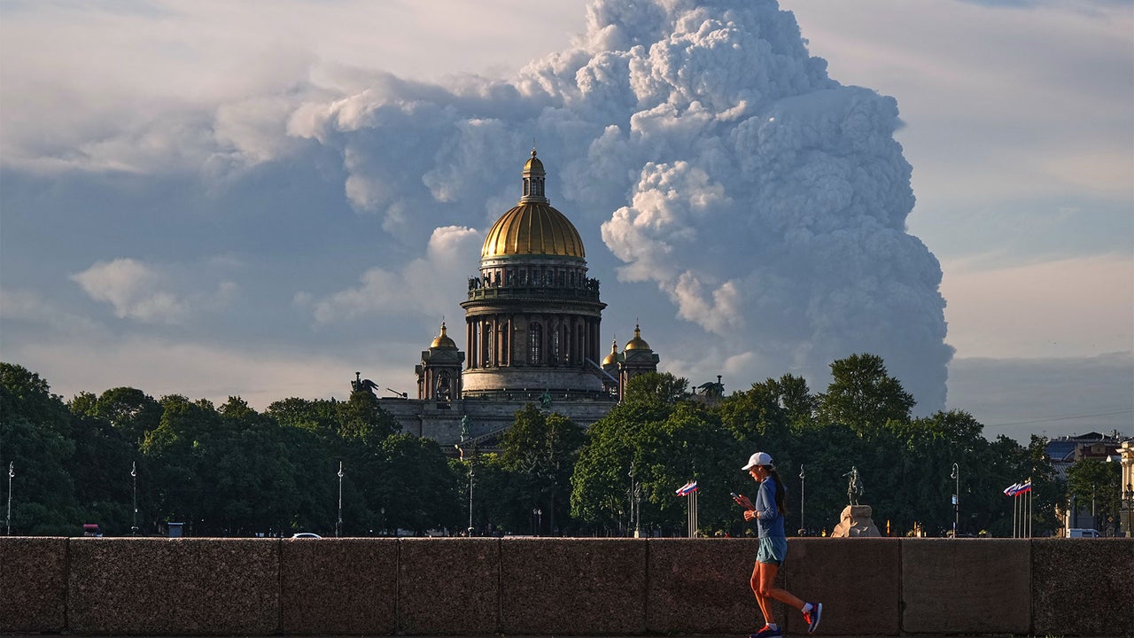 How this massive online retailer, Russia’s version of Amazon, is in the Ukraine’s crosshairs