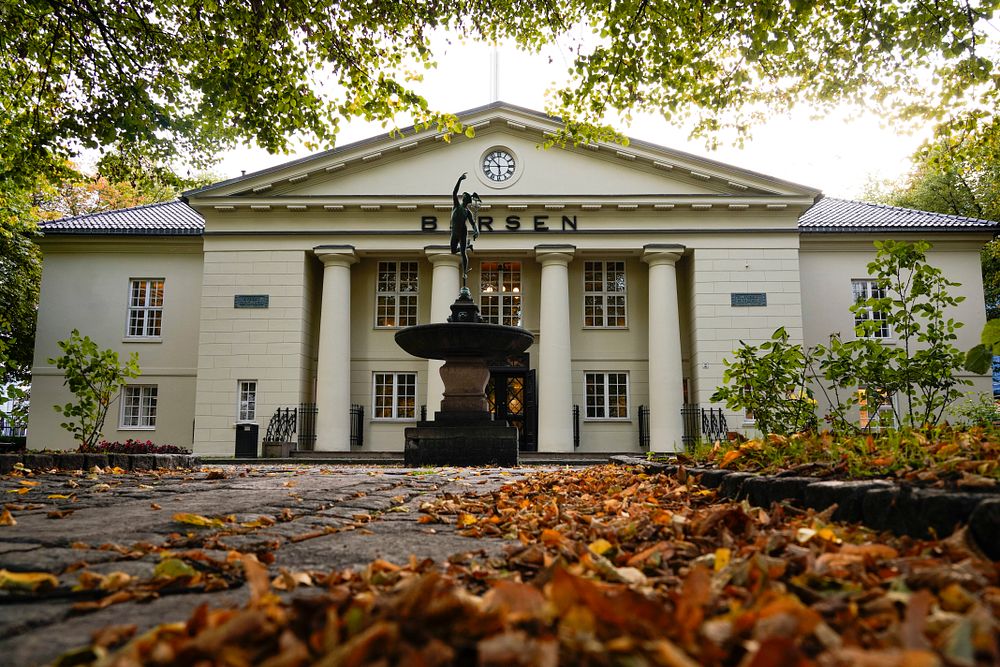 AI-uro: Vedder milliarder på aksjeras