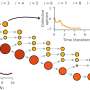 AI agents coordinate behavior based on majority opinion—even when said opinions are meaningless
