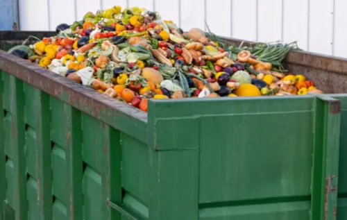 South Africa's paradox of hunger and food waste: millions go hungry while food rots