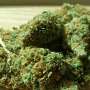 Cannabis doesn't make you violent—despite what recent reports have claimed