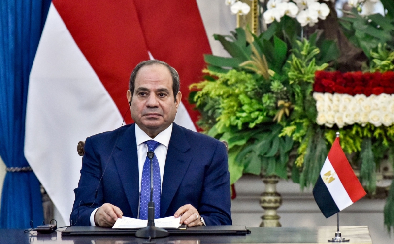 Egypt's Sisi pledges to leave office when term ends in 2030