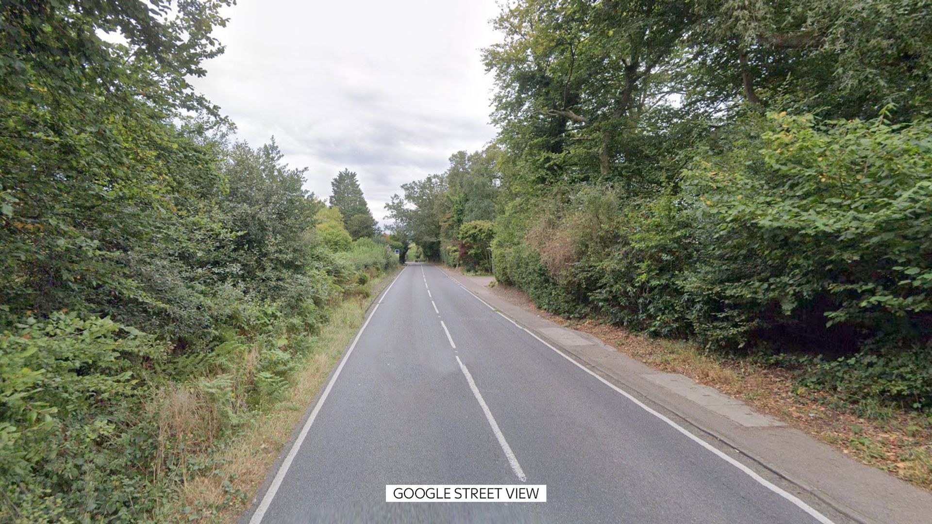 Two teenagers die after car crashes into wooded area