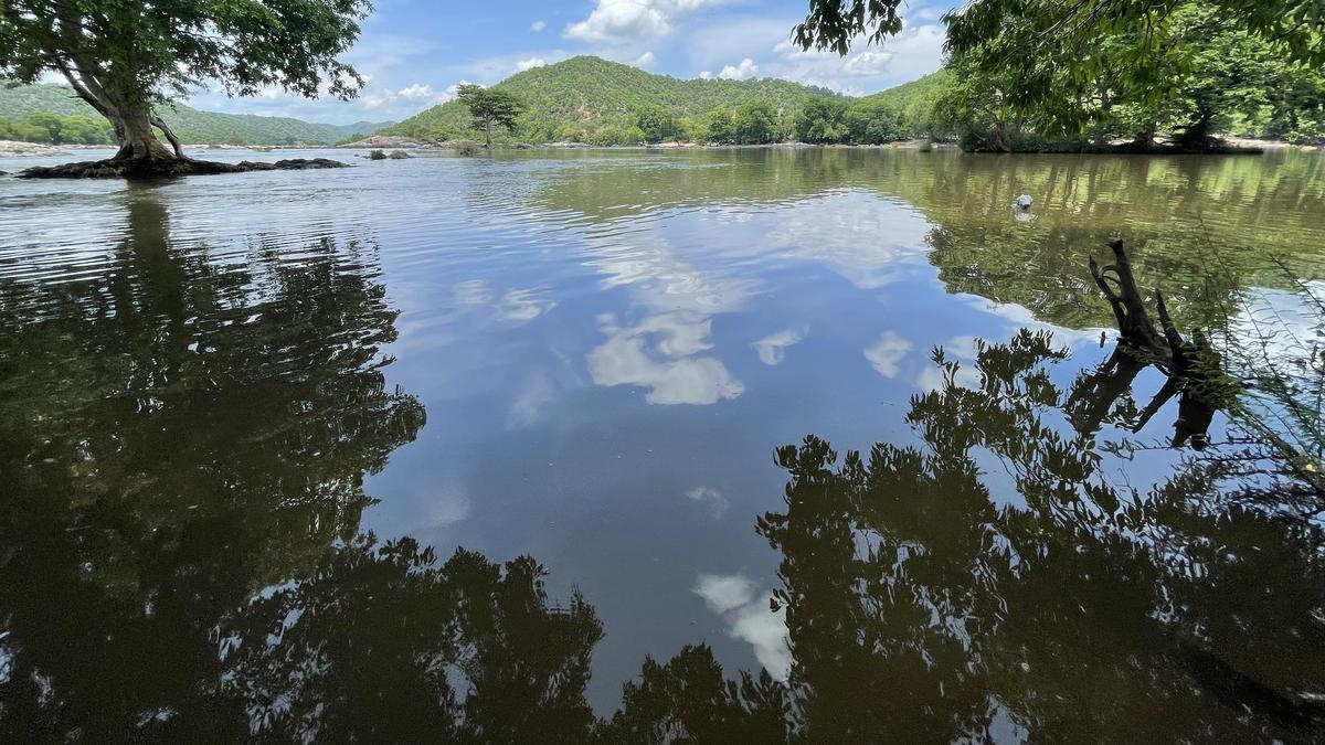 How can Karnataka clear the Cauvery backlog amid drought conditions, SC asks Tamil Nadu