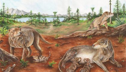 When Did Animals Start Giving Birth to Live Young? This 236-Million-Year-Old Fossil Might Rewrite Mammals' Evolutionary History