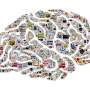 Flexible brain circuits can switch between different tasks