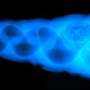 New X-ray imaging technique could double scanning efficiency while revealing hidden detail