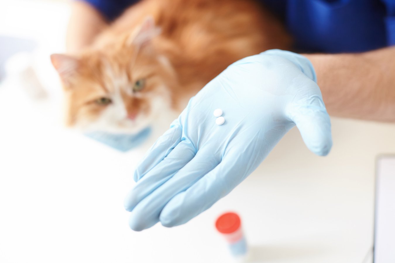 Should you stop using preventive flea treatments on your pets?