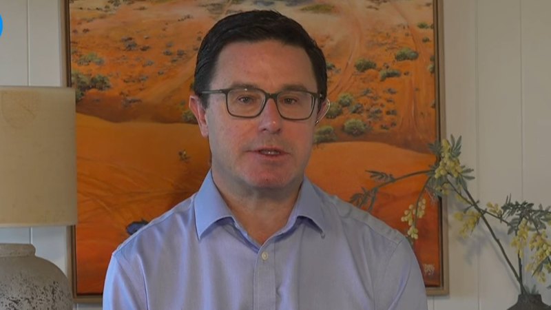 Experts slam One Nation immigration plan