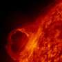 How ancient trees are warning us about the next enormous solar storm