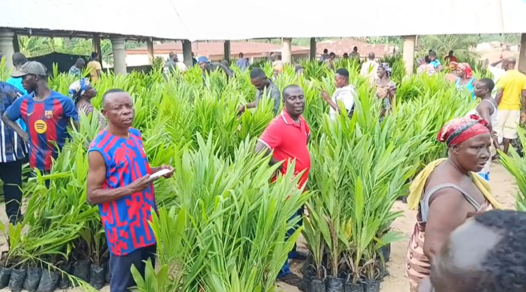 Ghana Drunkards Association commends Mahama over 100,000-hectare oil palm initiative