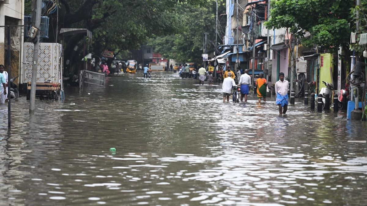 GCC sets up 220 relief centres, 110 kitchens for monsoon